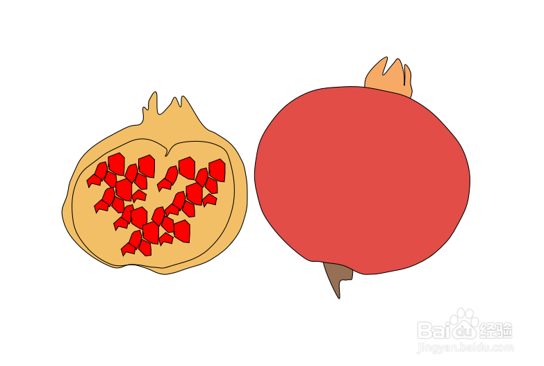 怎么画石榴的简笔画