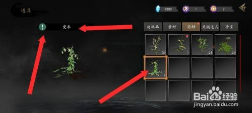 捕盗行纪如何才能查看到党参药材信息