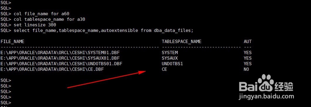 oracle12c数据文件特性