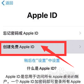 苹果11手机怎么登录