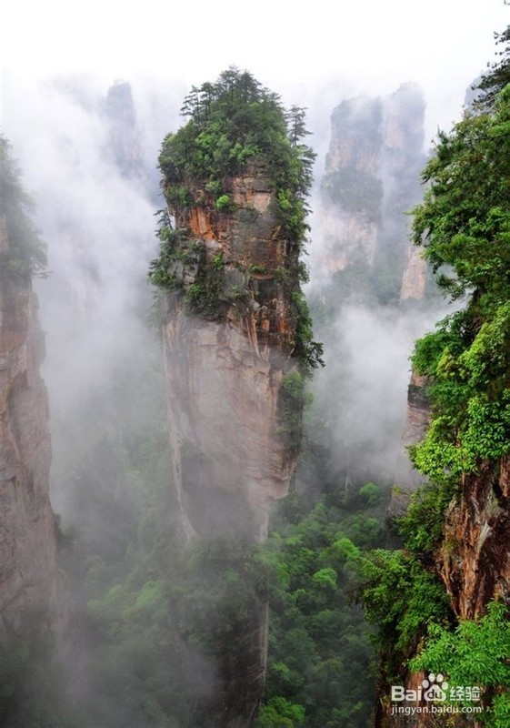 张家界夏季自助游攻略