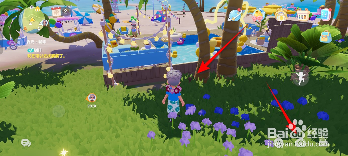 心动小镇在哪里可以拍到棕色小鸭子