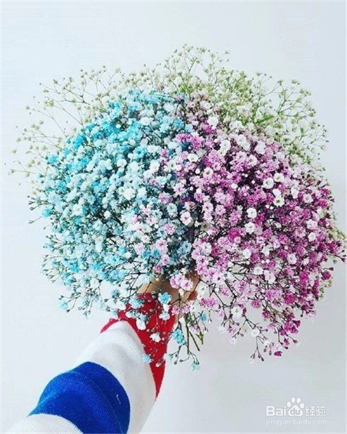 十二星座中一般不与人争，要争就绝不相让的星座