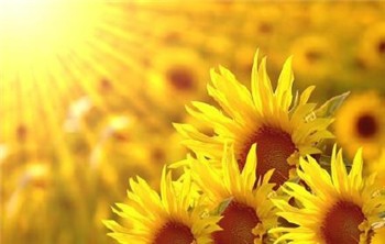 总爱乱想怎么办