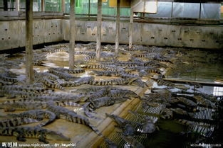 男生最适合的工作