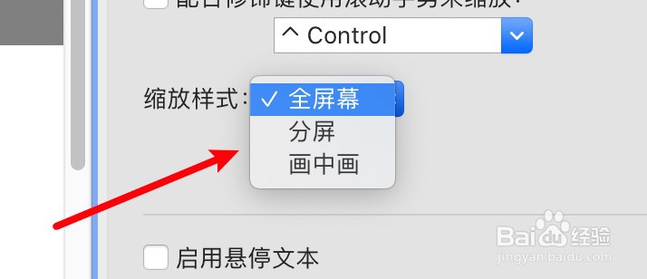 mac电脑怎么设置缩放样式