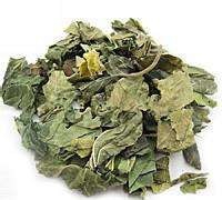 热伤风后推拿和食疗的方法（上）