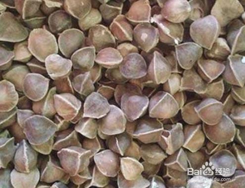 辣木籽怎样食用