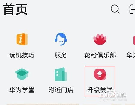 华为mate40怎么申请鸿蒙系统