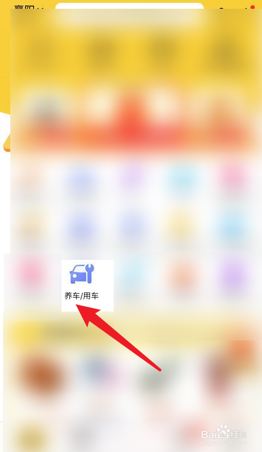 车内有蚂蚁窝怎么除掉