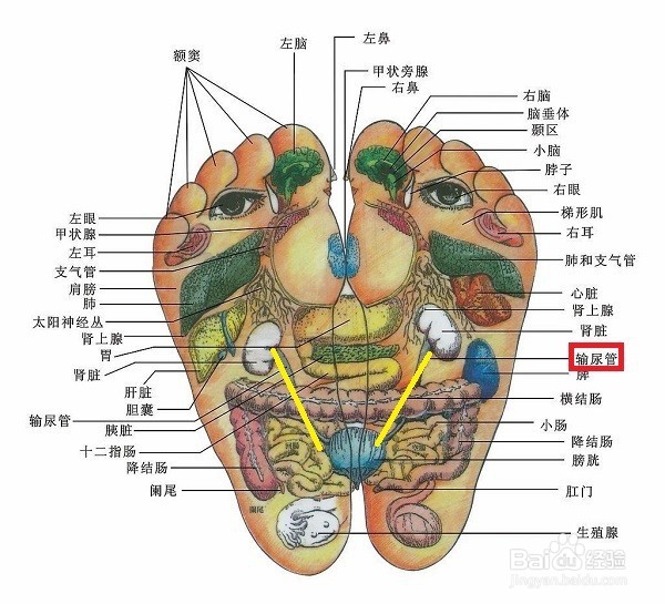 身体虚脱怎么办