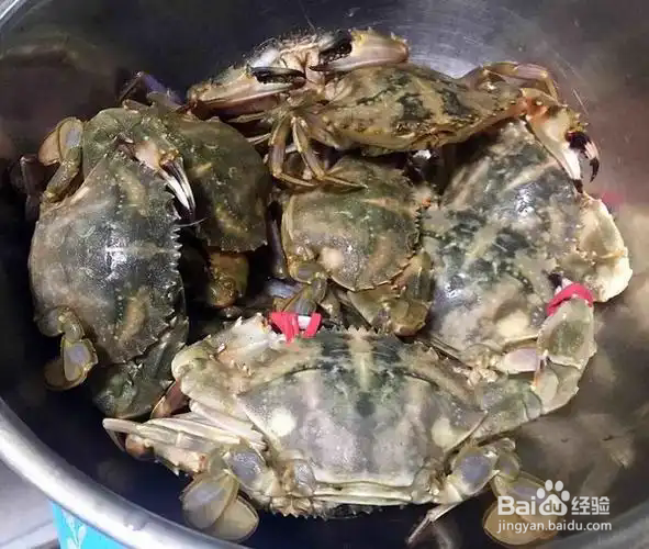 姜丝炒花盖儿蟹