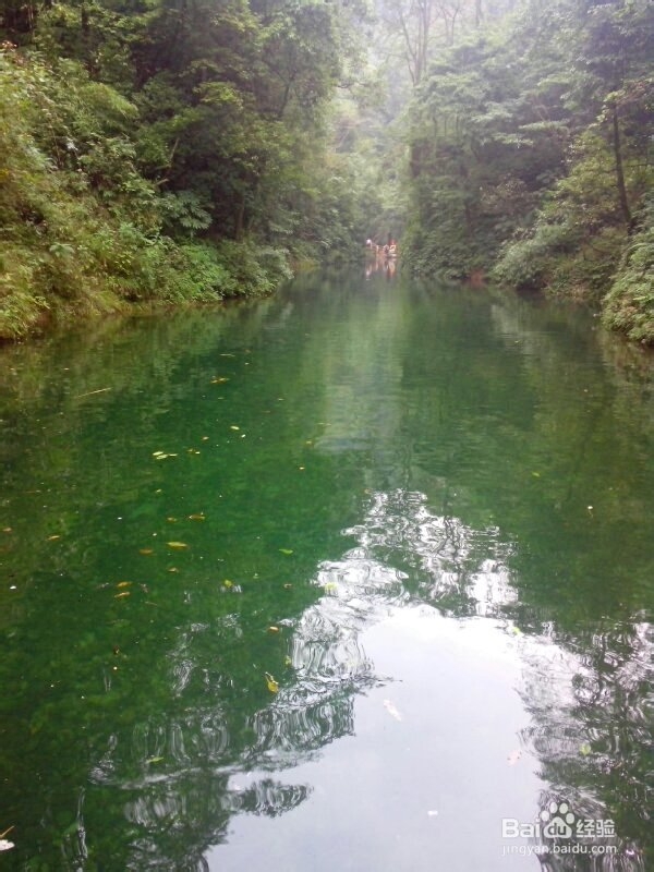 青城后山游览