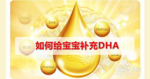 如何给宝宝补充dha