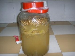 土方法制葡萄酒