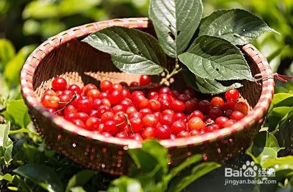 春节过年如何应对熊孩子?