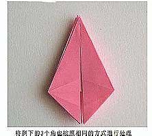 怎样DIY纸百合花