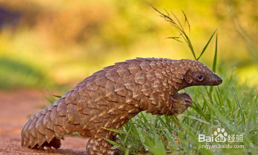 新型冠状病毒肺炎疫情下，如何做好自我防护？