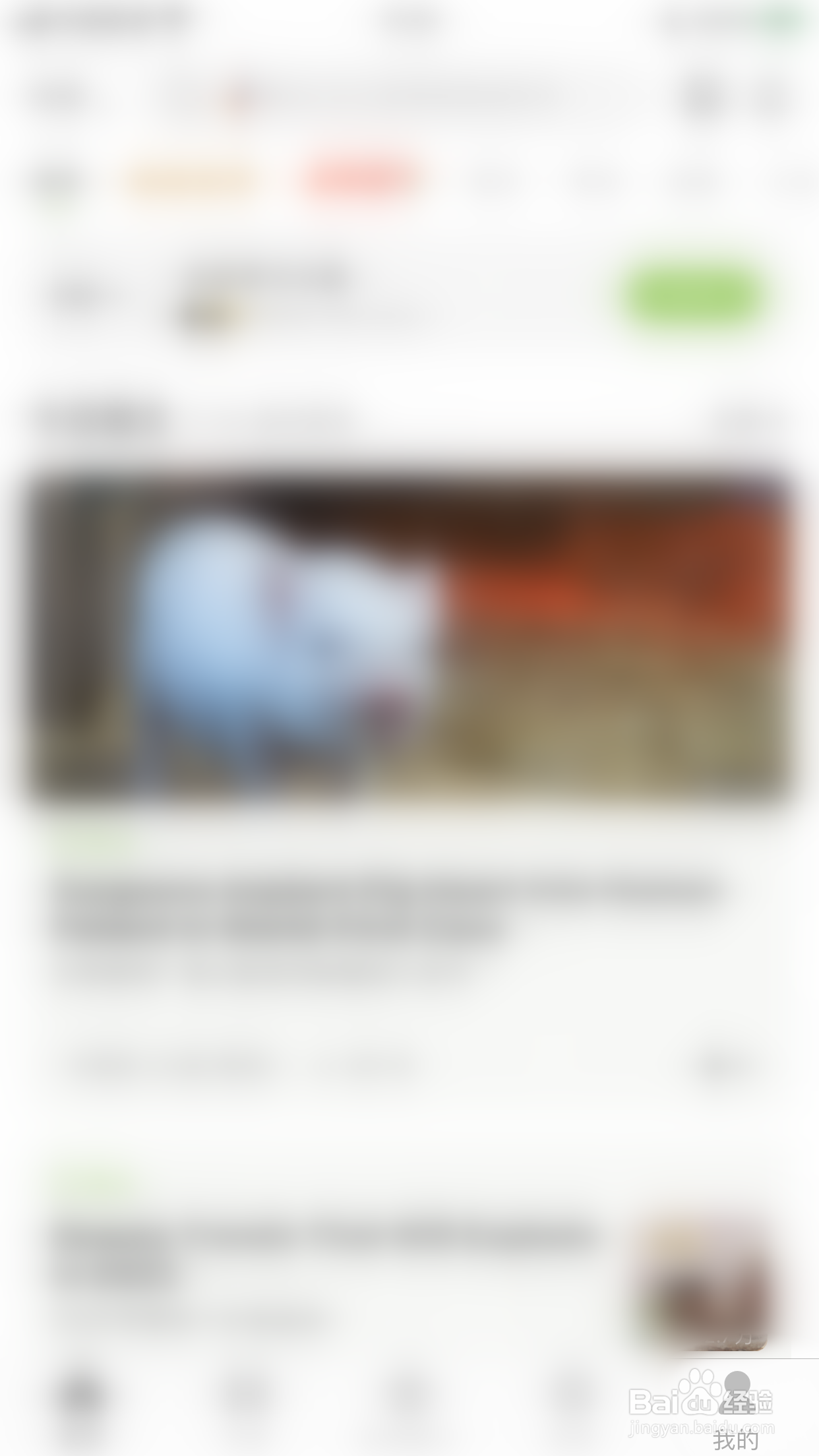 扇贝阅读如何关闭允许流量播放