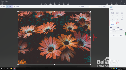 win10怎么用内置的画图3D应用裁剪图片