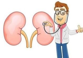 肾炎吃什么食物好
