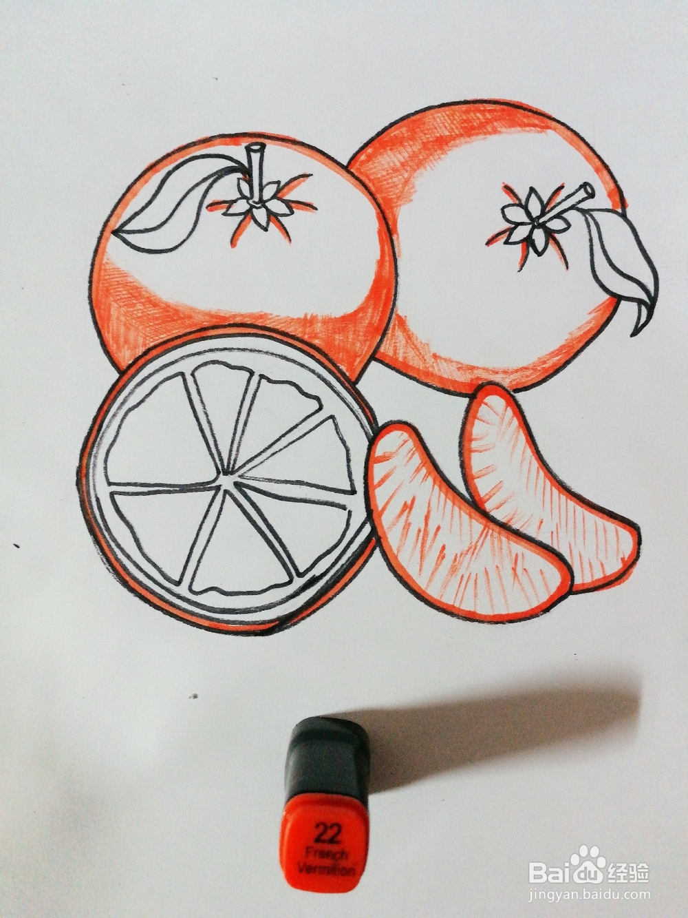 手绘三个橙子卡通绘本插图