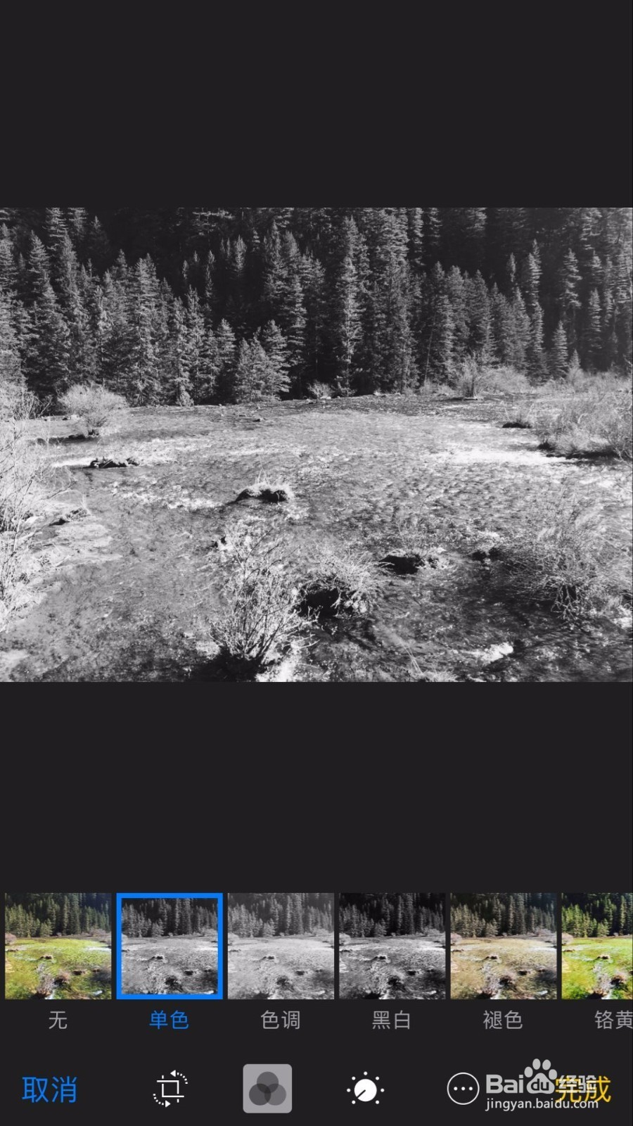 苹果手机把照片变成黑白艺术照的5个方法