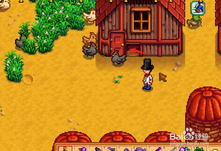 星露谷物语鸡怎么喂？