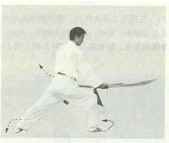 赵堡太极双刀之双刀屠龙图解