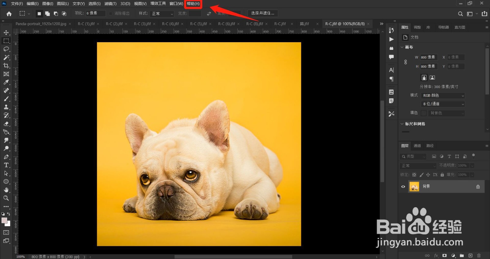 PS(Photoshop2022)如何查看处理器兼容性
