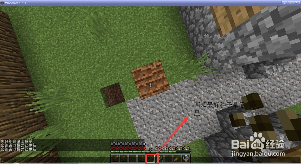 我的世界种植植物大全