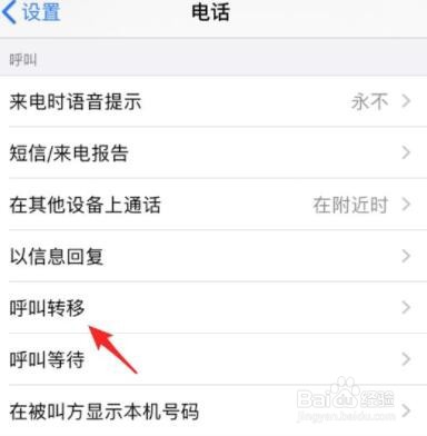 苹果手机呼叫转移怎么设置
