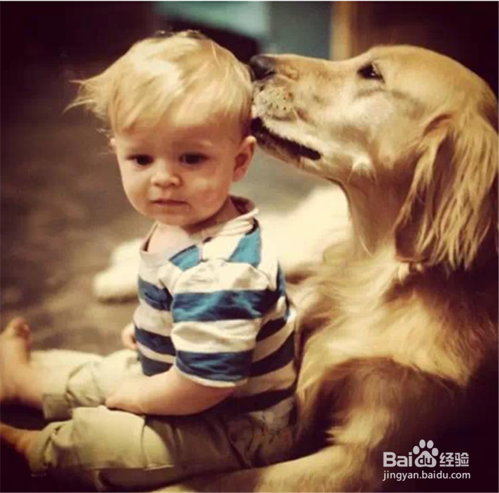 你的孩子被宠坏了吗