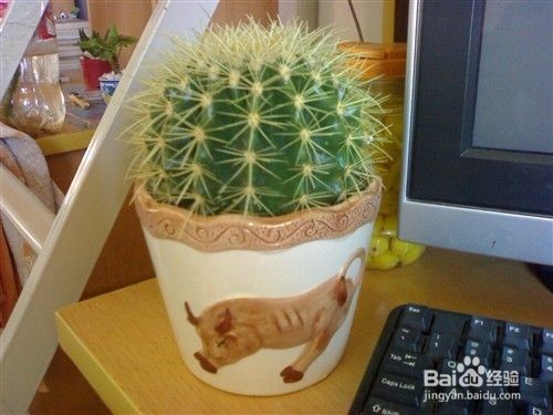 职场女生如何让自己保持良好的状态