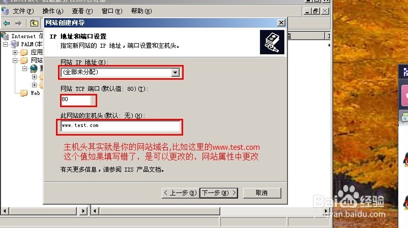 iis新建网站即网站配置