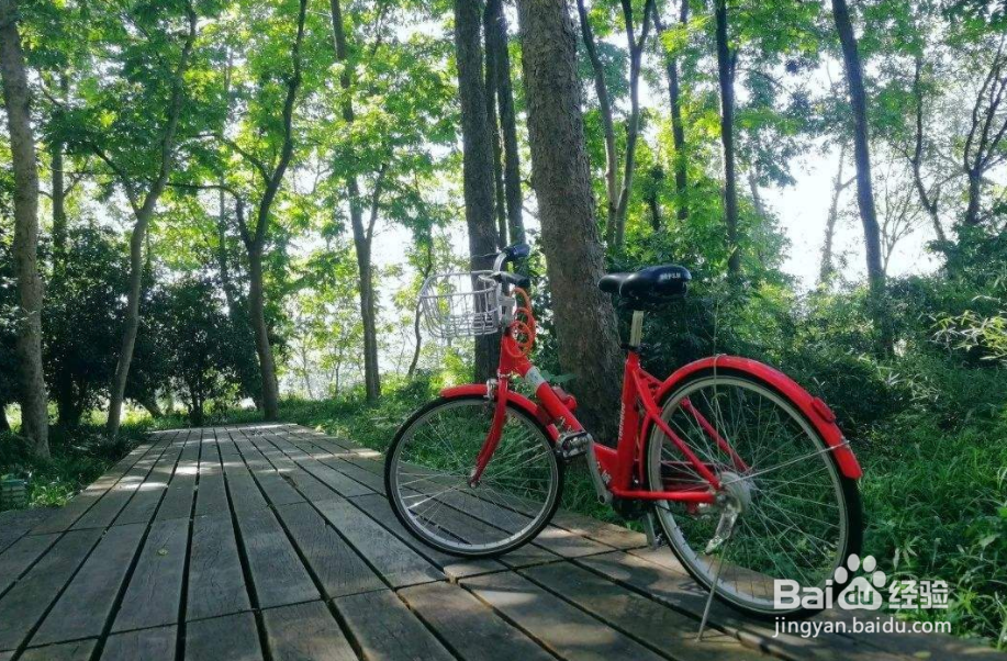 一年中最热的时候来了 几个必知的避暑小技巧！