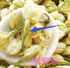 茉莉花与罗汉果花如何区分