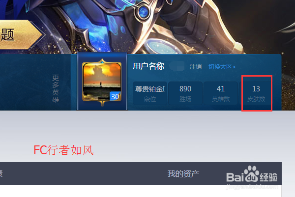 王者荣耀怎么查看自己英雄的皮肤个数