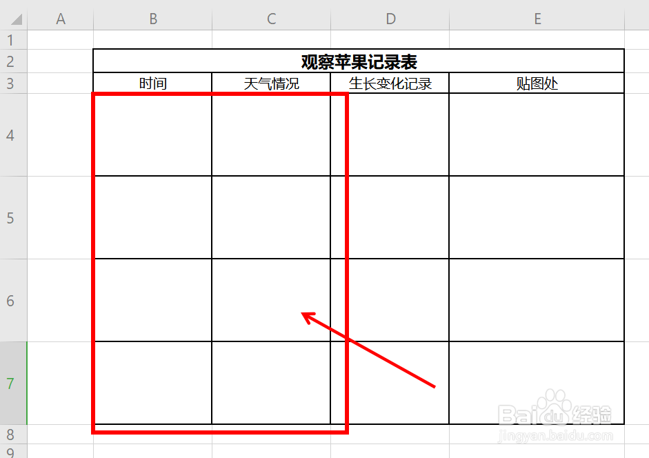 观察苹果变化记录图片图片