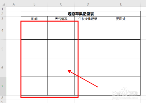 观察苹果的记录表