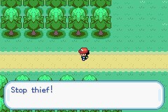 口袋妖怪圣灰攻略图片5