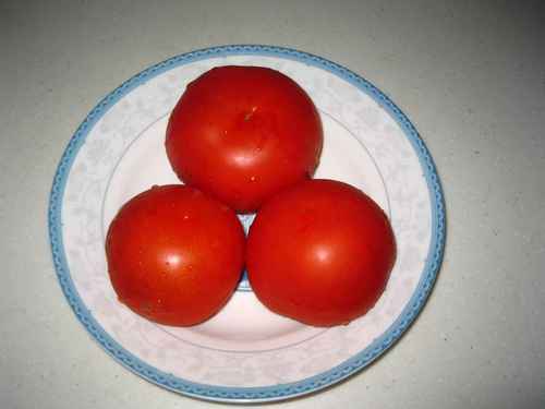 【防蚊虫】如何驱赶并彻底消灭苍蝇