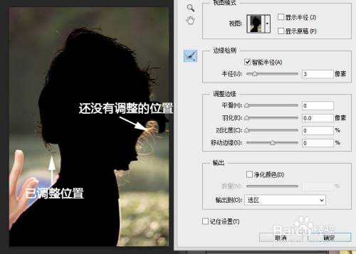 能轻易把发丝选取的PS精确抠图技巧