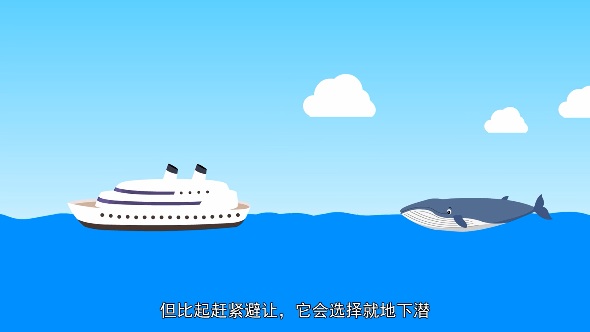 蓝鲸为什么会撞船