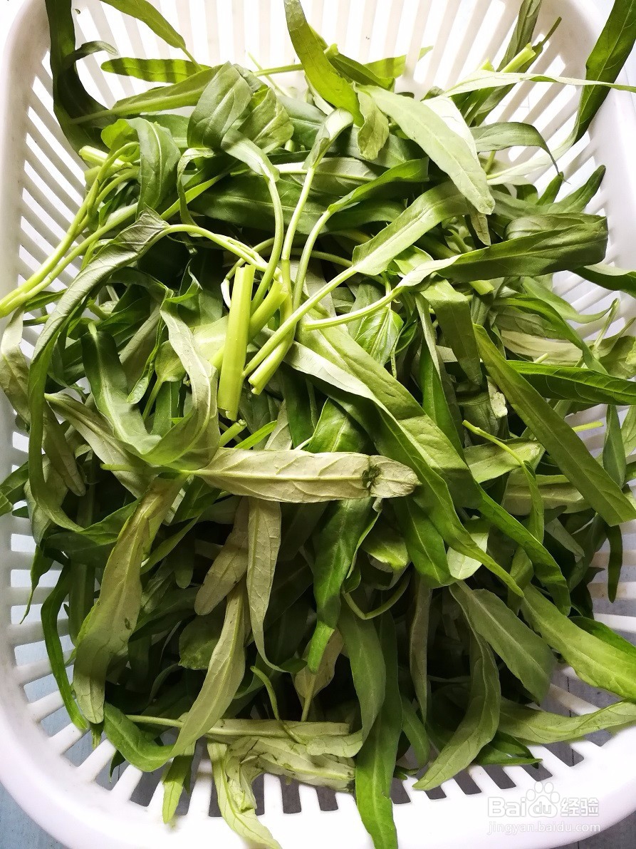 我家的私房菜-人人喜欢-清炒空心菜叶