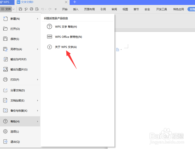 WPS文字技巧之怎么看Word版本