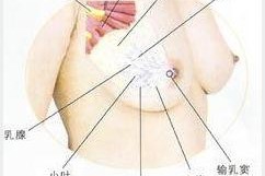 月经期乳房胀痛怎么办?