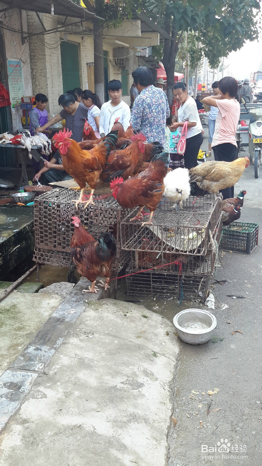 如何选择过节礼品