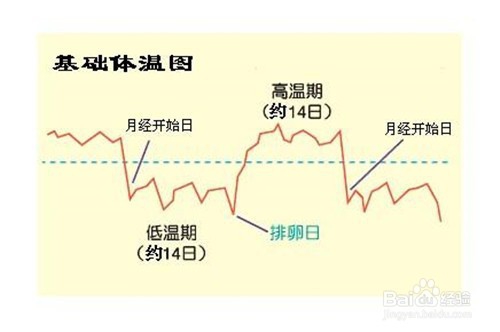 不孕症检查有哪些