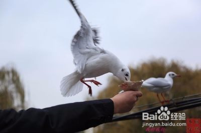 做人要明白的东西